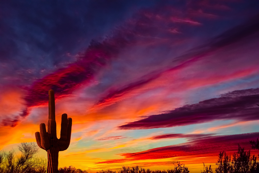 Arizona-Sunset